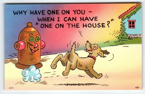 Dog puppy runs - puppy,