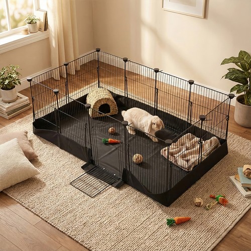 Large pet cat - pet, fence