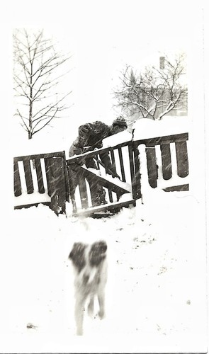 Vintage old random photo - old,