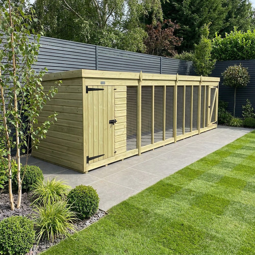 Dog kennel and run uk - dog,