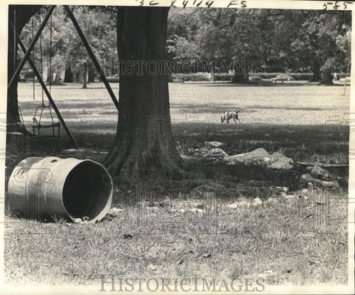 1974 press photo dog - photo, runs