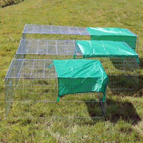 Metal run chicken - metal,