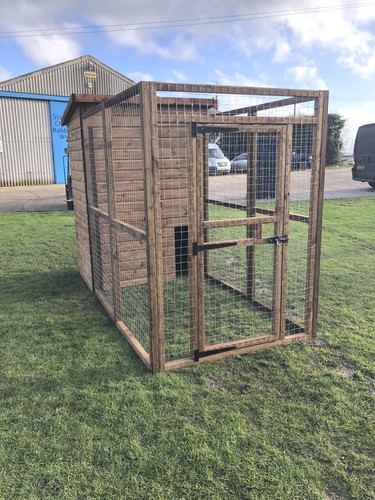 Walk wooden dog run - in, with