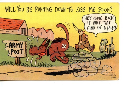 Dog runs for - for, army